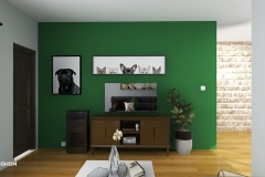 Karen-Erasmus-Living-room-20230629-123158